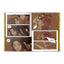Heaven Official's Blessing Vol. 4 (Manhua)