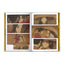 SPECIAL OFFER! | Heaven Official's Blessing Vols. 1+2+3 & Nirvana in Fire Vol. 1